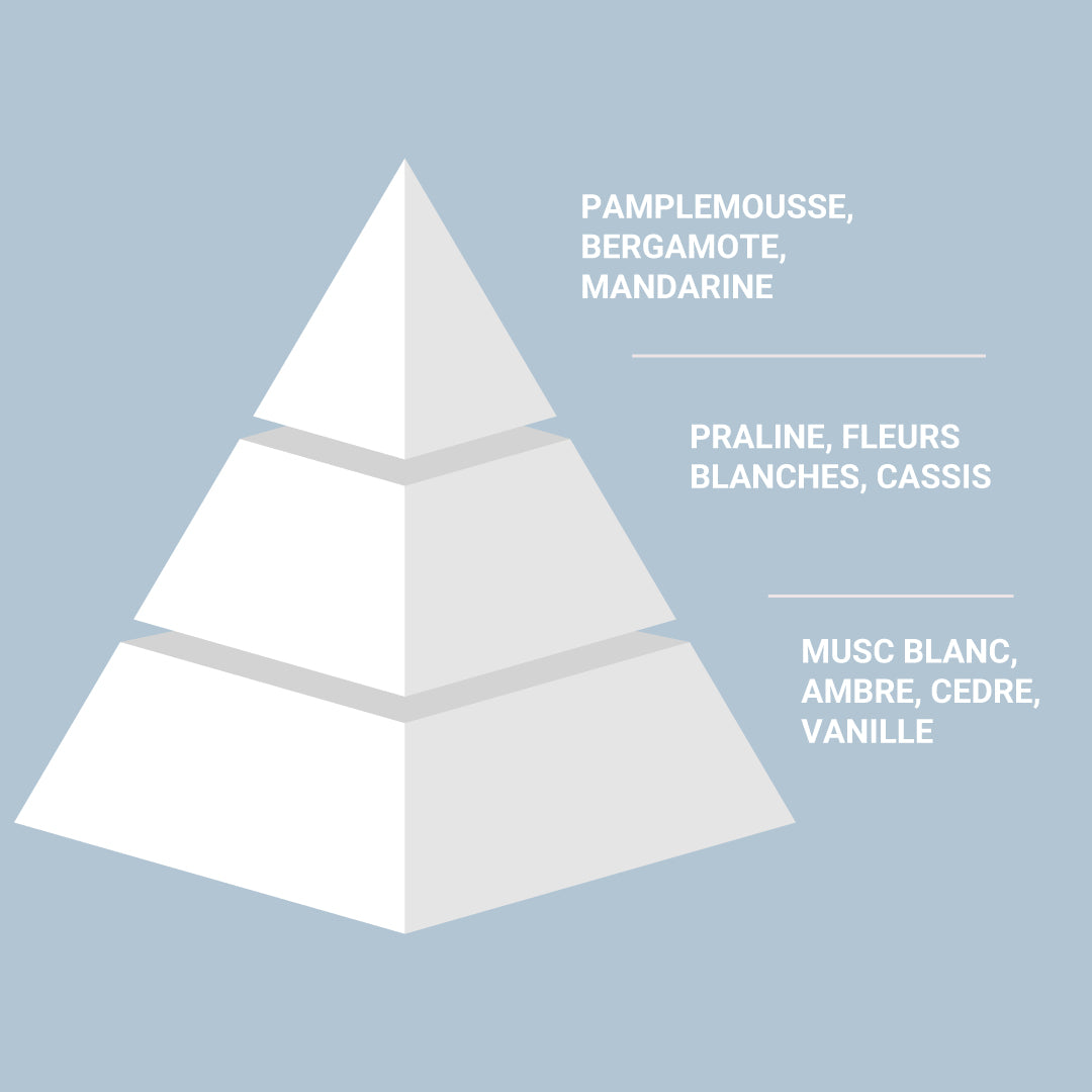 Elysees Wood By Prestige Parfum EDP Original Fragrance