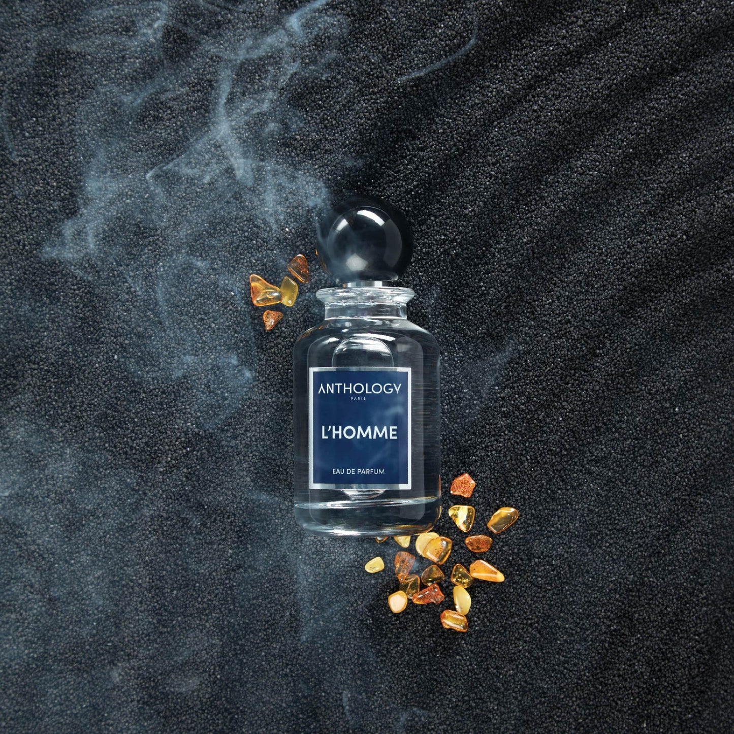 ANTHOLOGY PARIS L'HOMME